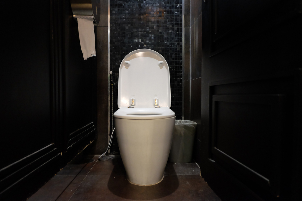 What Makes Luxury Portable Restrooms Different from Standard Units?